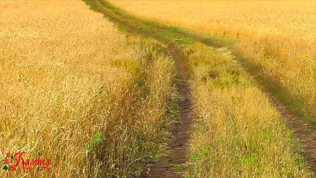 СМОТРЕТЬ ВСЕМ!!! Песня "МОЛОДОЙ АГРОНОМ". Ансамбль Калина. Russian folk songs...