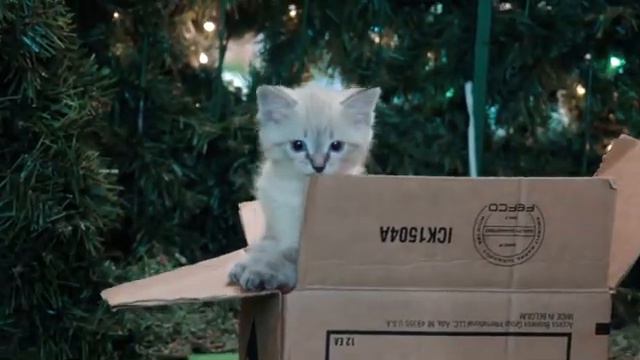 Моя любимая песня - Твори добро