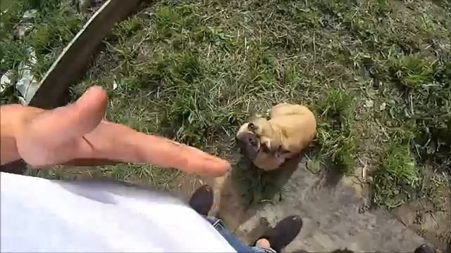 Хочу Пожрать - Свиные рёбра с картошкой и овощами в казане