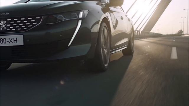 "А я вот езжу на Пежо и не..." Peugeot 508 SW 2019