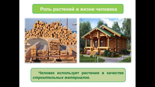 Тема 15. Значение растений в природе и жизни человека