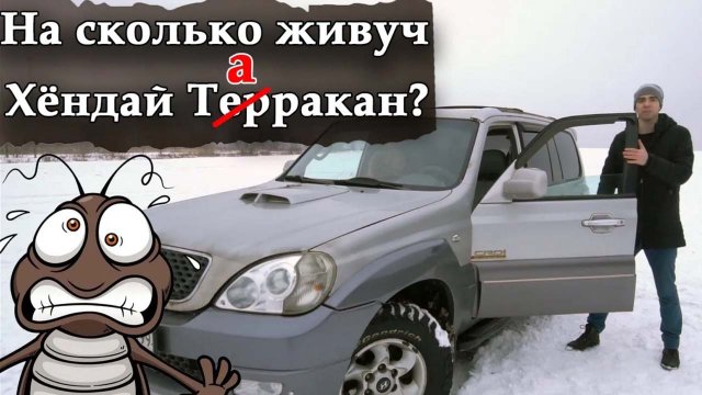 Хендай Терракан 2.9 Таракан в дикой природе. Hyundai Terracan 2.9