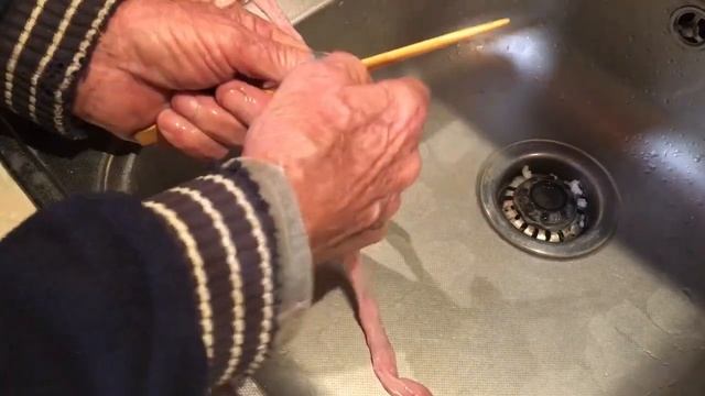 Как почистить свиные кишки для домашней колбасы !