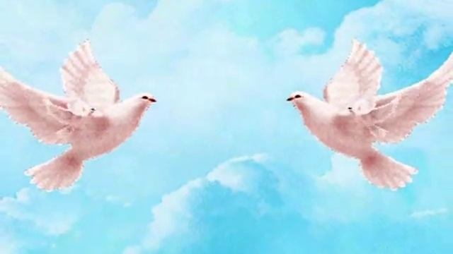 ГОЛУБИ ЦЕЛУЮТСЯ НА КРЫШЕ...