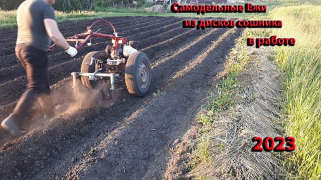 Самодельные ЕЖИ для мотоблока из дисков сошника сеялки! Обработка картофеля Ежами, Сезон 2023