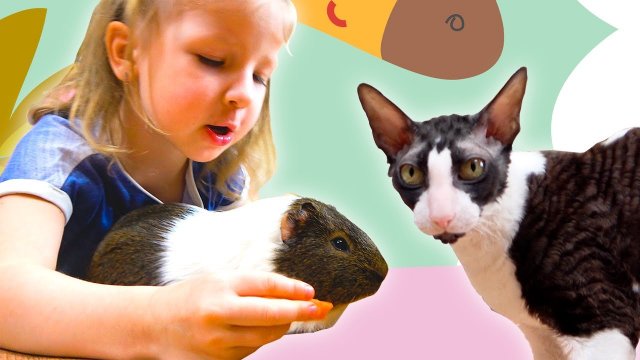 Кормим животных и играем с питомцами в домашний зоопарк