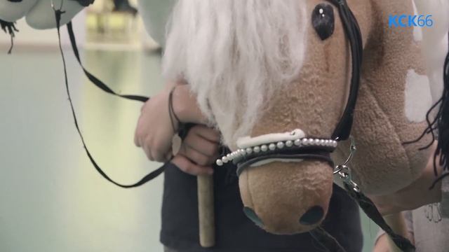 Хоббихорсинг игрушечные лошадки и серьезные тренировки