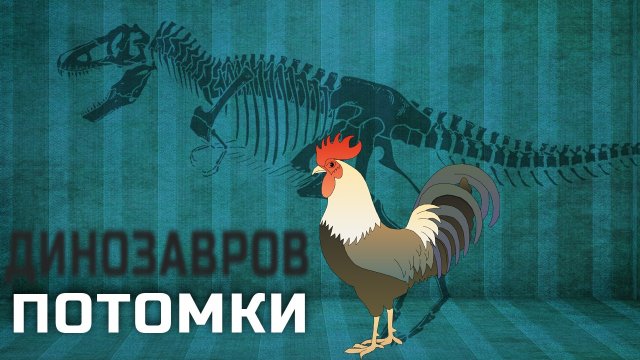ПОТОМКИ ДИНОЗАВРОВ В НАШЕ ВРЕМЯ