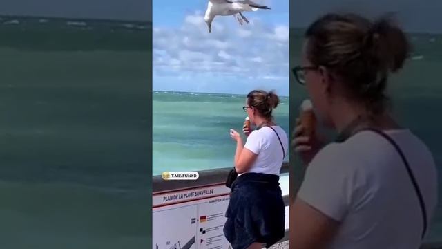 VID_20231119_220928_766.mp4
