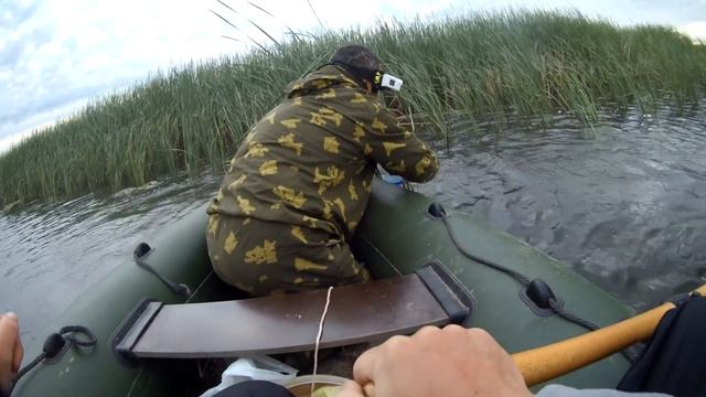 Ловля сома на живца на поставухи