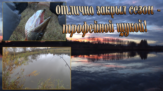 Закрыл сезон открытой воды ТРОФЕЙНОЙ ЩУКОЙ! Рыбалка на спиннинг в конце осени!Отличный клёв хищника!