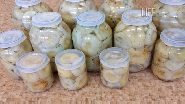 Как мариновать грузди в банках на зиму? простой рецепт! Как мариновать грузди хрустящие?