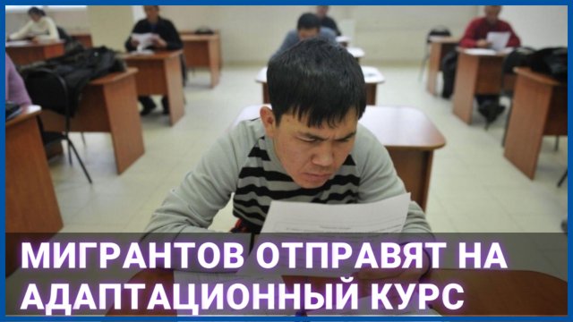 Мигрантов отправят на адаптационный курс