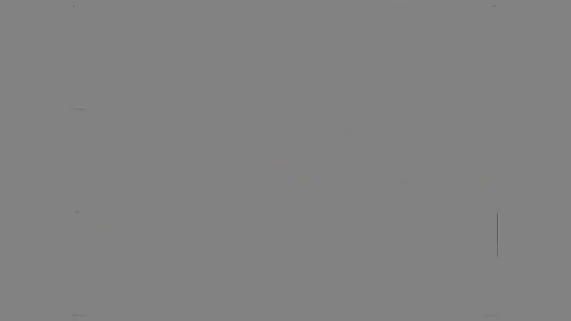 255580113476 (1)