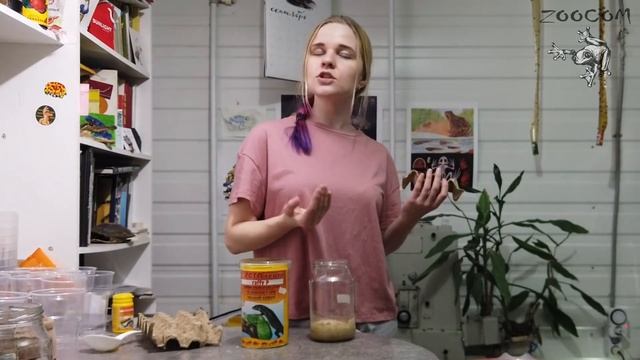 Разведение крупной дрозофилы хидеи. Проблемы?