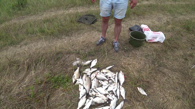 Захватывающая рыбалка на реке Белой! КРУПНАЯ густера, чехонь!