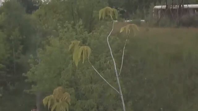 Tello. Copy test flight + stabilization from YouTube.