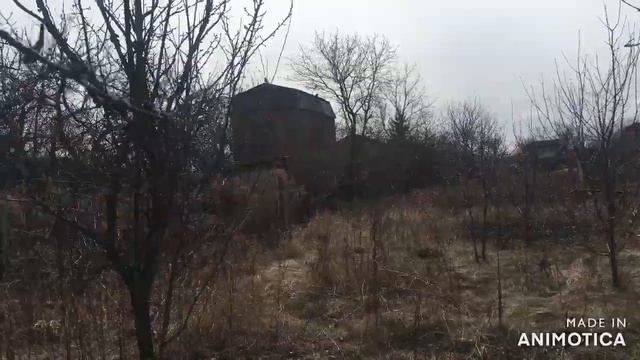 #Дача и ее история. Новые Дачные Хроники. Эпизод 2. Первые посадки.