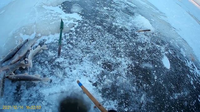 Рыбалка на Амуре на хапугу (хлопок) зимой. Ловля щуки