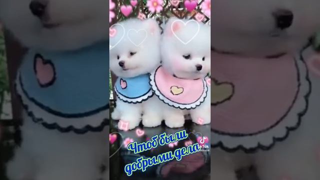 добрый день