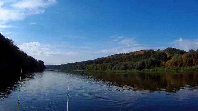 Рыбалка с лодки на донки | река Дон | село под Воронежем |  27 августа 2022