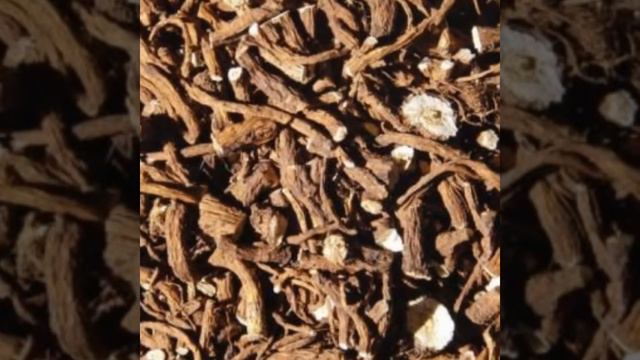 ПОЛЬЗА ЛОПУХА ДЛЯ ОРГАНИЗМА.ЛОПУХ ИСЦЕЛЯЕТ МНОГО БОЛЕЗНЕЙ