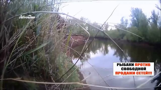 БРАКОНЬЕРЫ.