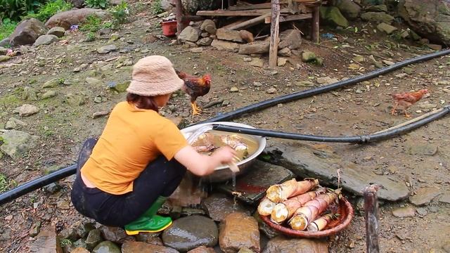 Building a new life episode 22 | My daily life on my big farm | Live with nature