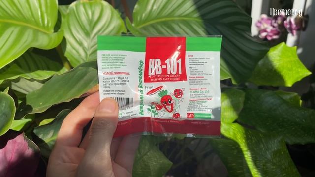 Супер-стимулятор роста, корнеобразователь НВ-101. Особенности применения.