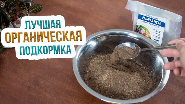 НИКАКОЙ ХИМИИ - рыбная и костная мука. Применение рыбной и костной муки в огороде