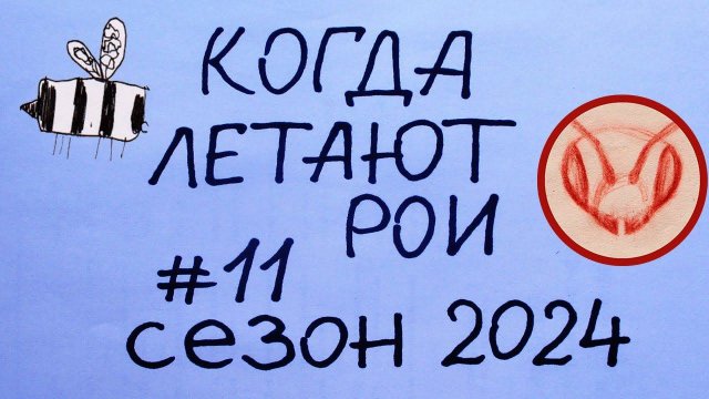 Ловим рои всё лето. Видео #11