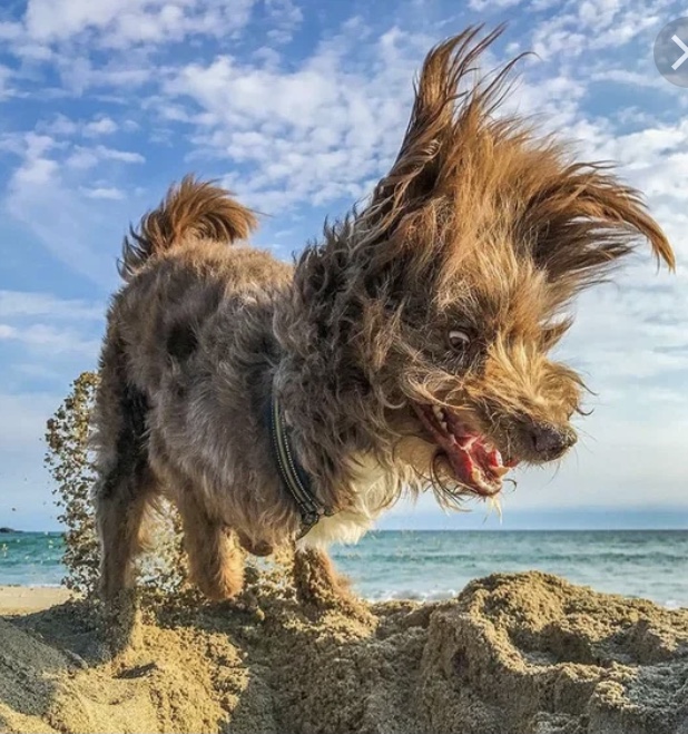 ПРИКОЛЫ ИЮНЬ 2022 - 10 МИНУТ СМЕХА