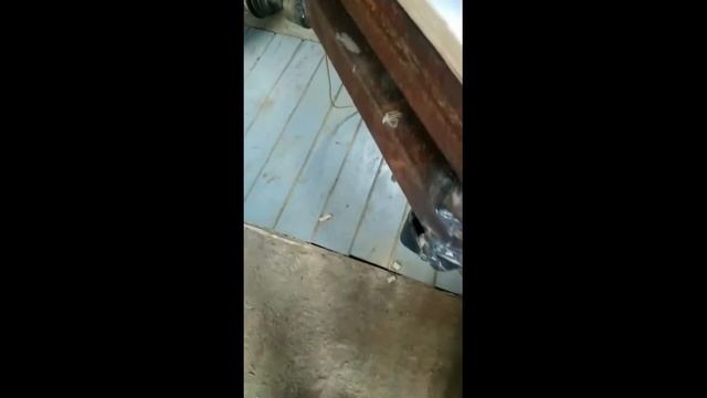 Вездеход- Каракат  ][  Собрали своими руками.