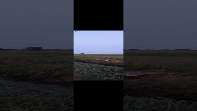20230725_211949