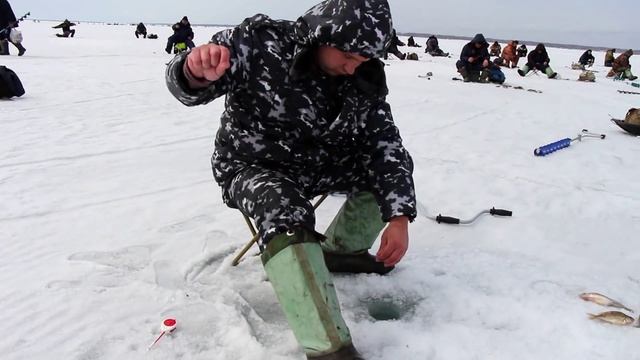 Зимняя рыбалка. Новосибирск Обское Водохранилище. Окунь, сорога, ерш, много).