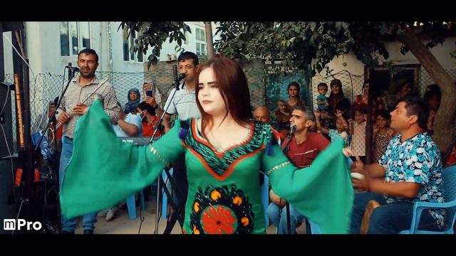 Улфатшохи Давлат-2021 ракосашкати туйа девона кард.