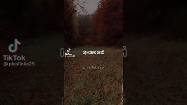 просто пой!)