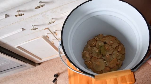 Самый простой рецепт соленых волнушек холодным способом.