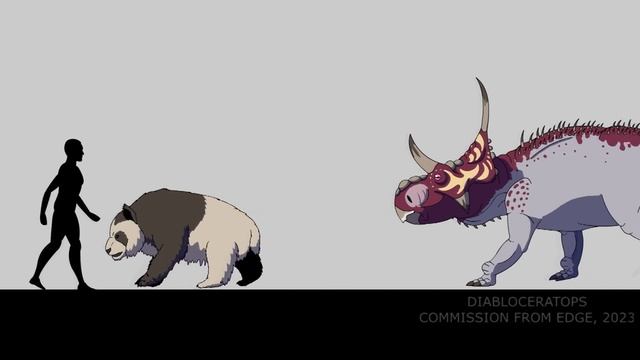 BONUS Animated Size Comparison!