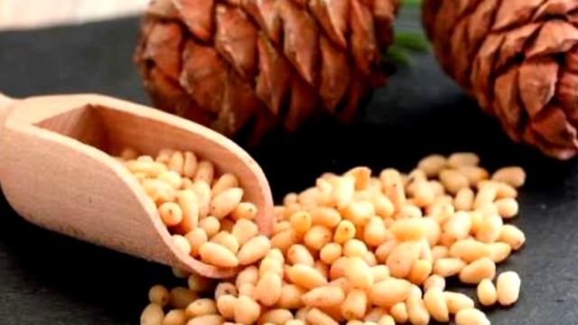 Основная ценность кедровых орехов. За что так любят кедровый орех?