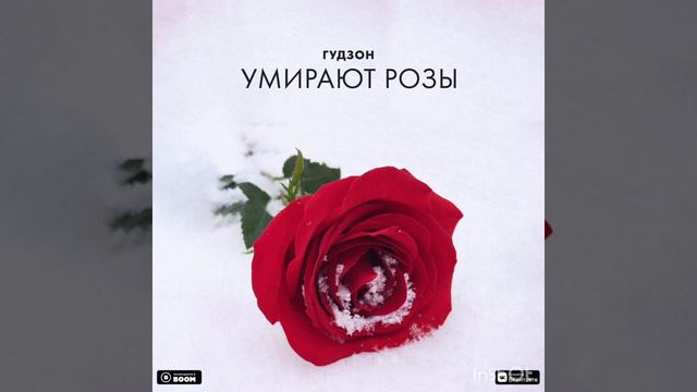 Гудзон - Умирают Розы