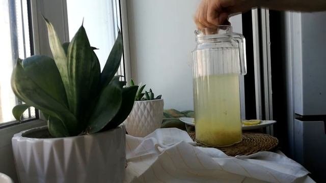 Имбирный лимонад (Ginger Lemonade)