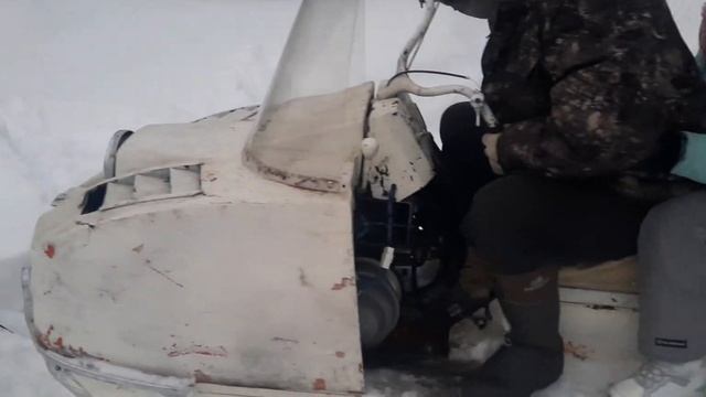 что лучше мотособака или буран?