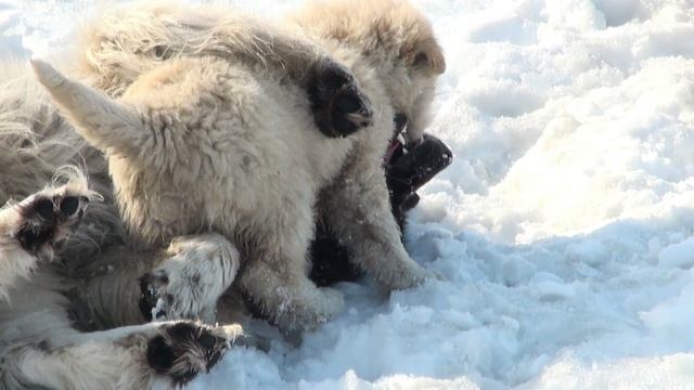 20110416110649.mp4
