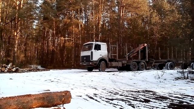 Маз лесовоз