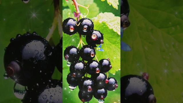 Хорошего Настроения!!!