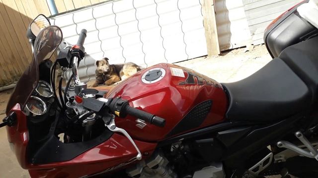 Сузуки Бандит 1250с, честный обзор.