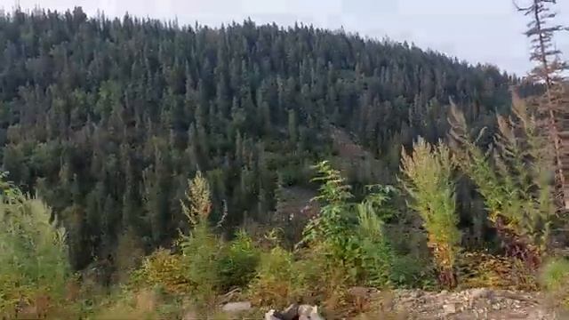 Нива едет в горы