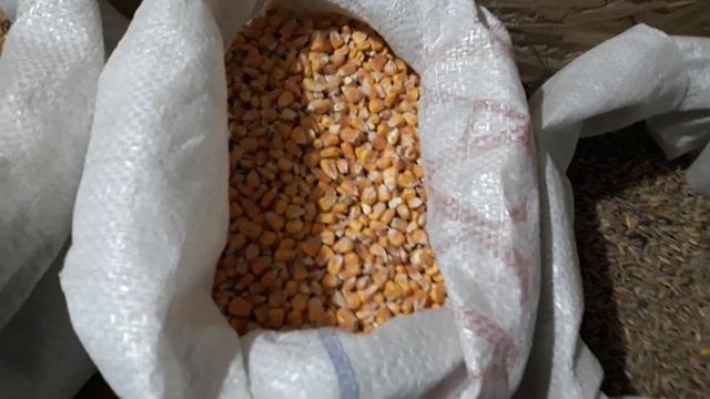 Рацион Кормления Дойной Козы / Чем я Кормлю свою Козу