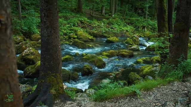 Лучшая Красивая расслабляющая музыка - Перестаньте слишком много думать